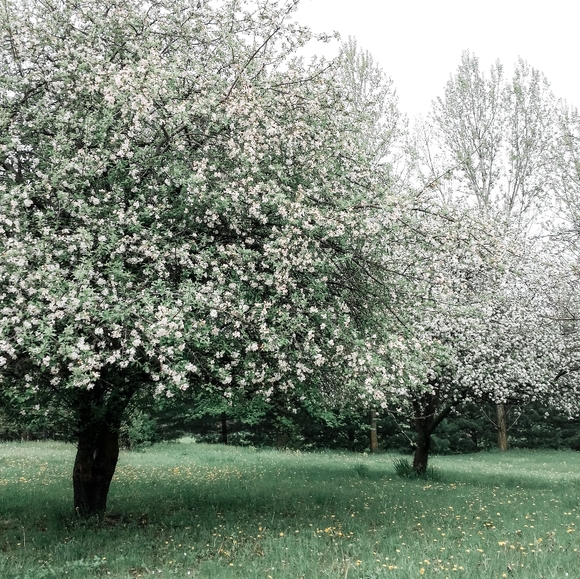 Meet your Posher, Haley - Picture 8 of 11